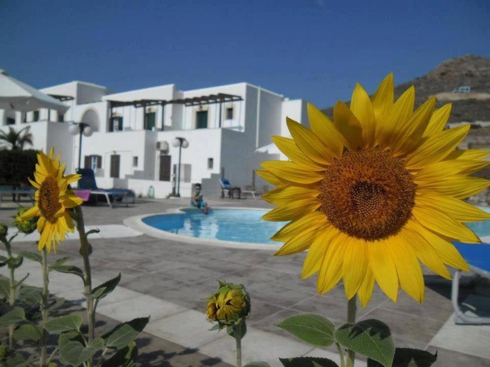 Delight Apartments Suites Stelida  Bagian luar foto